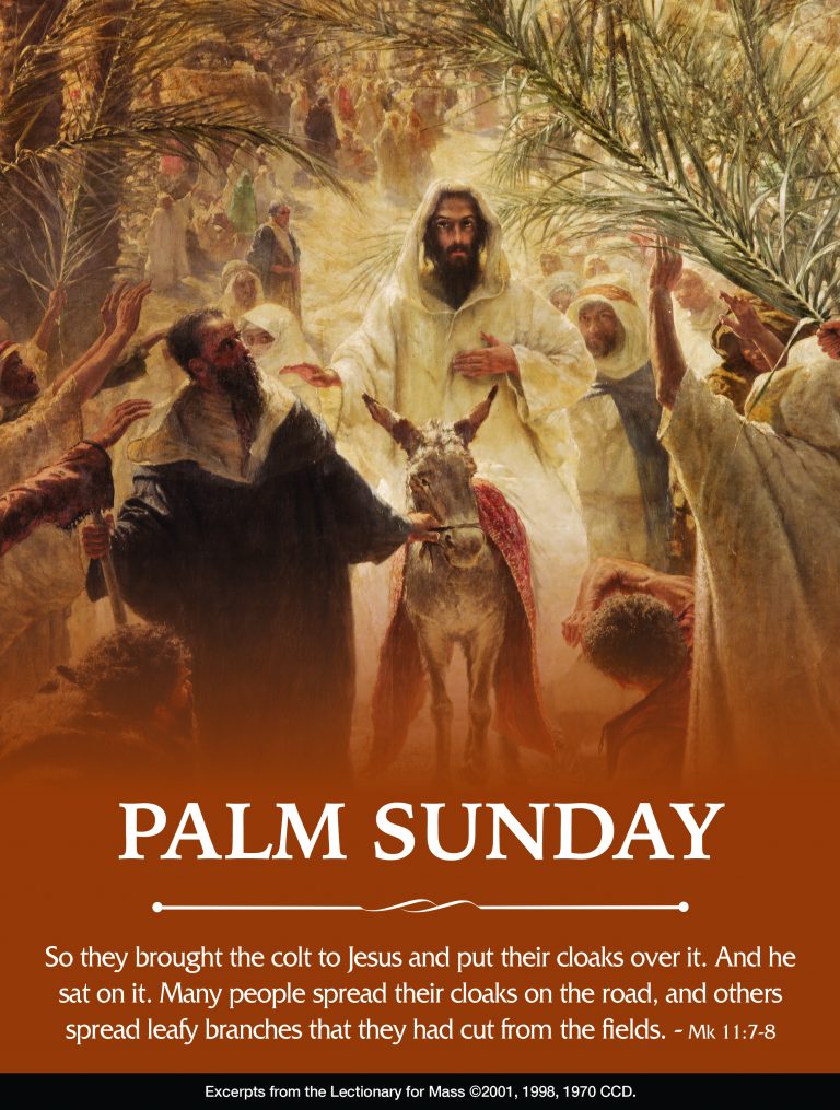 Palm Sunday of the Lord's Passion All Saints Parish